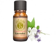 Lavender Essentail Oil